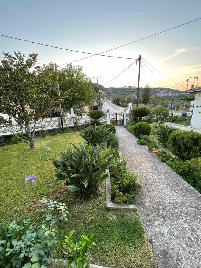 Apricus
